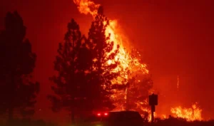 "حرائق غابات شديدة في لوس أنجليس تلتهم الأشجار وسط ظروف مناخية قاسية."