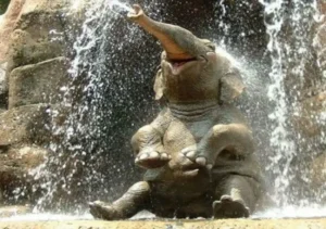 فيلا يقتل سائحة إسبانية في تايلاند أثناء استحمامه.