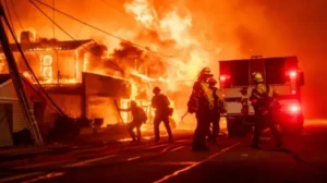 قتلى ودمار بلوس أنجلوس