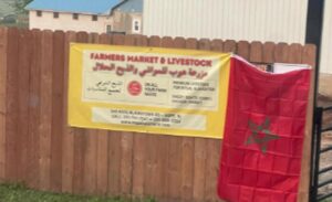 صورة من مزرعة في أمريكا حيث قام مغاربة بصلاة العيد وذبح الأضحية