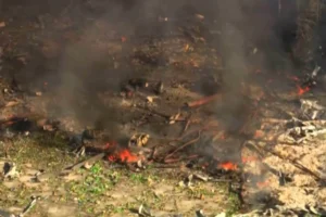 ولاية تينيسي: 19 مفقودا إثر انفجار في مصنع للمتفجرات بالولايات المتحدة